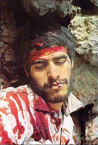 شهید